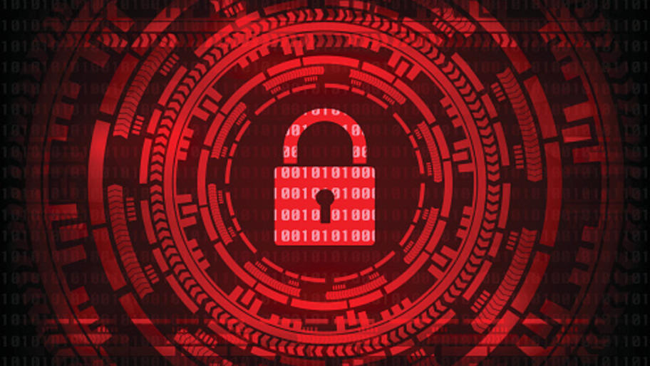 The Benefits of Professional Executive Protection: Keeping VIPs Safe in a Dangerous World