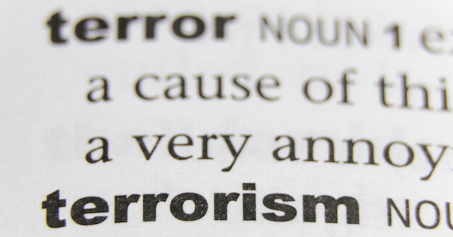 Protecting the Public from Terror