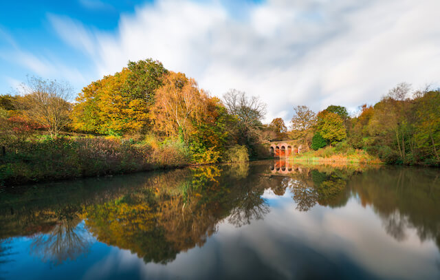 Autumn 2019