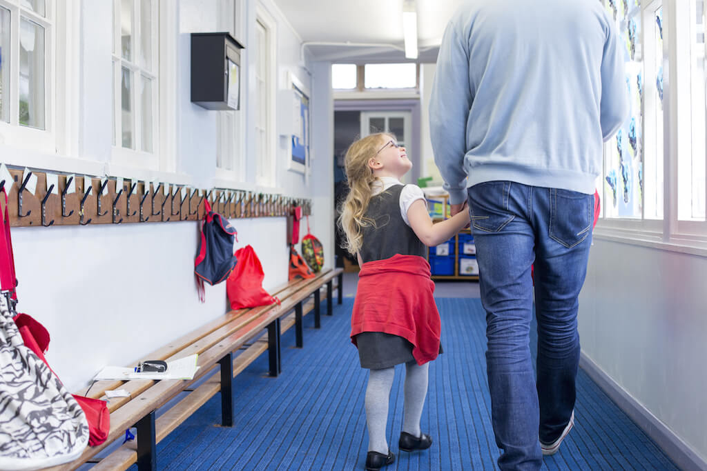 Safeguarding schools